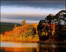 Autumnal forest and lake
